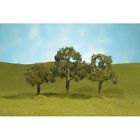 32007 Bachmann Ho Walnut Trees