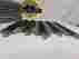 5-1690 Bachmann Ho Scale Miscellaneous Track Bst
