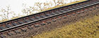Rapido Trains 100 Ho Code Flex Track 619164079960