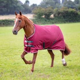 858886 Shires Tempest Original 200 Turnout 51 Inch Maroon