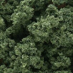 Woodland Scenics All Scale Clump Foliage Medium Green 1QT Bn 683. Fixed Price $9.19.