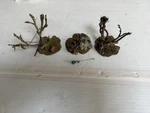 Woodland Scenics Ho Scale Trees (2PC) & M102 Moonshine Still Used. Fixed Price $25.00.