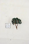 Trees Model Scenery O-1/48 Scale 2-3/8" Tall (6 Cm ) #3700-18 3/PCK. Fixed Price $6.31.