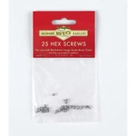 Bachmann Industries G Hex Screws 25 BAC94656 Track. Fixed Price $15.99.