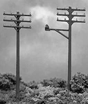 Atlas Telephone Poles 2801. Fixed Price $5.98.
