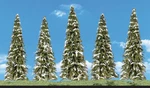 Woodland Scenics New 2025 Snow Dusted Trees 2-1/2" To 4" Pcs TR3567. Fixed Price $12.69.